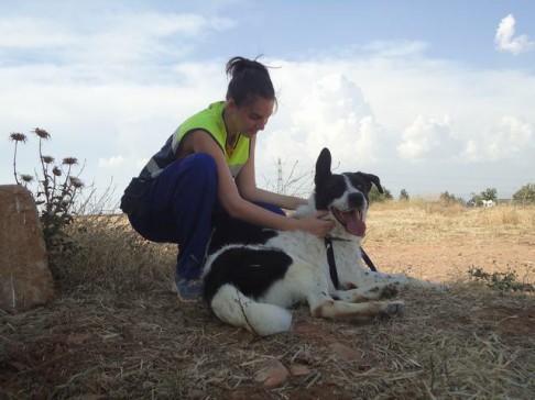 multimedia-foto42665-767-3