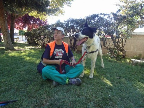 multimedia-foto42666-767-3