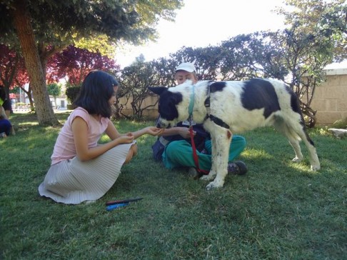 multimedia-foto42667-768-3