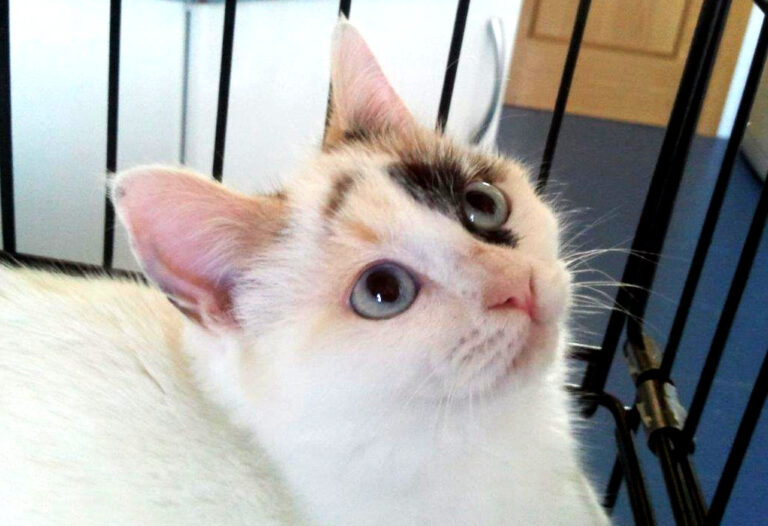 multimedia-foto42726-419-3