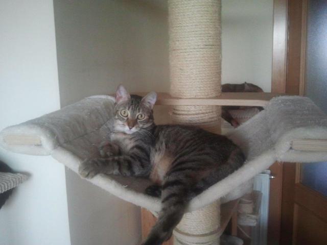 multimedia-foto42727-931-3