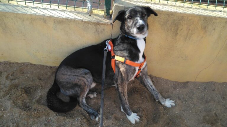 multimedia-foto42729-380-3