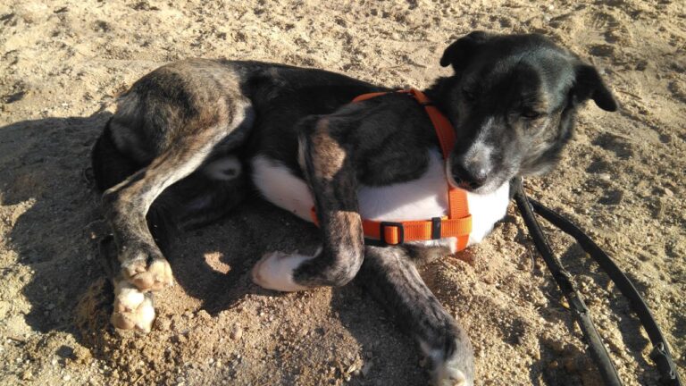 multimedia-foto42730-380-3