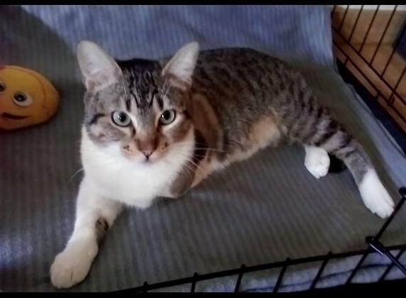 multimedia-foto42735-334-3