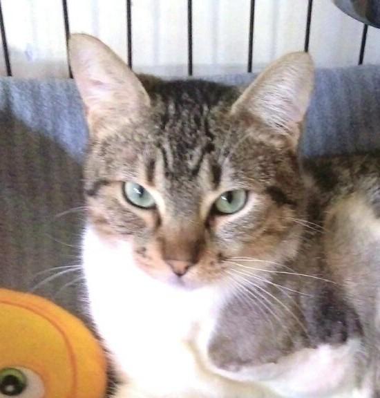 multimedia-foto42738-335-3