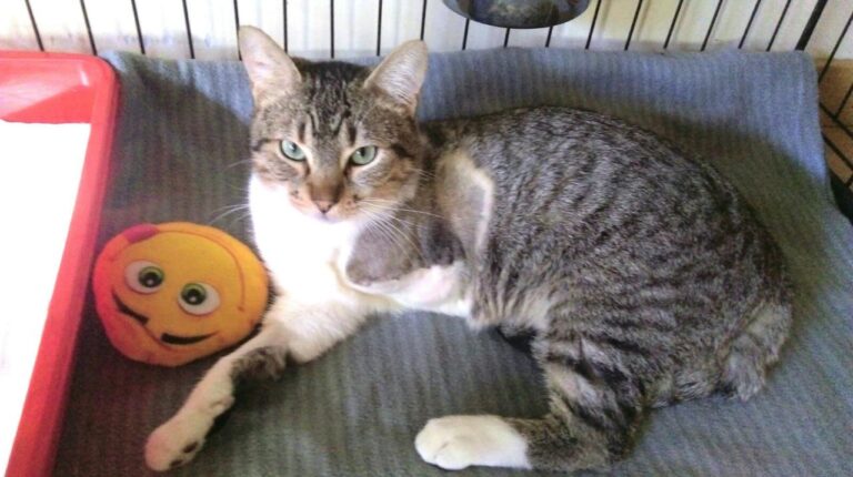 multimedia-foto42740-387-3