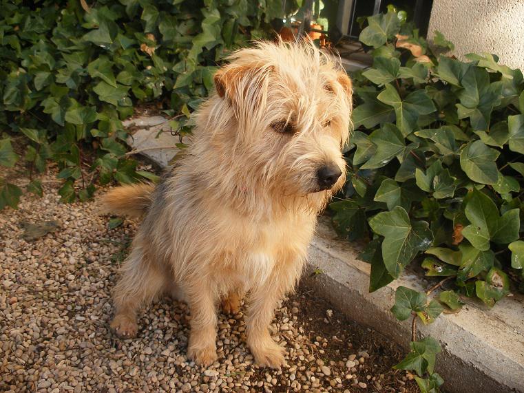 multimedia-foto42765-370-3