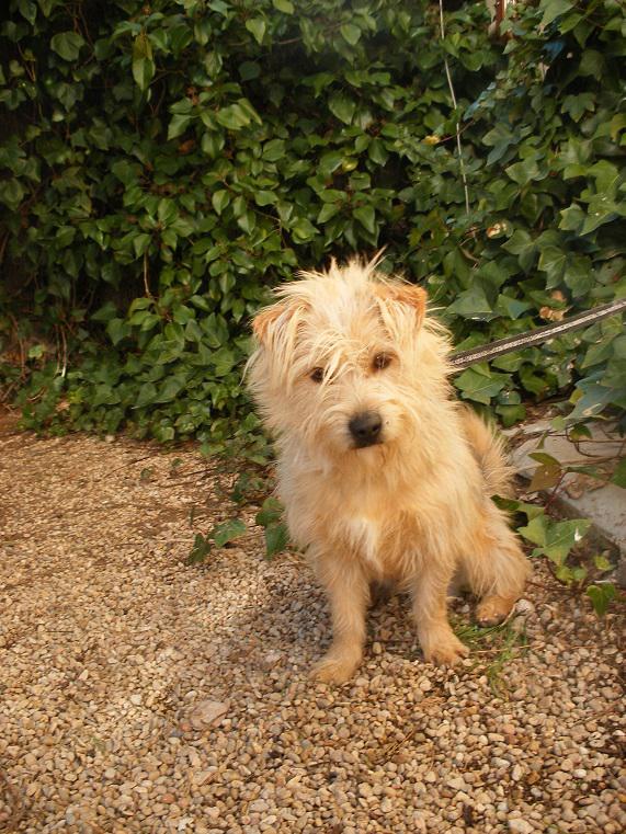 multimedia-foto42766-370-3