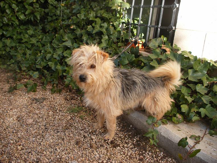 multimedia-foto42767-371-3