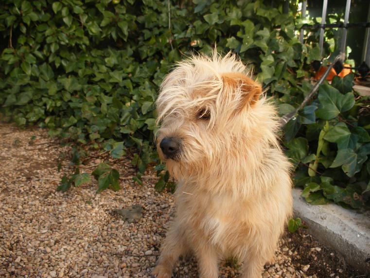 multimedia-foto42768-371-3