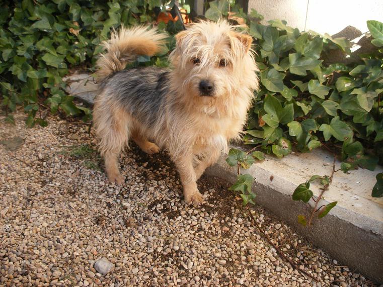 multimedia-foto42769-422-3