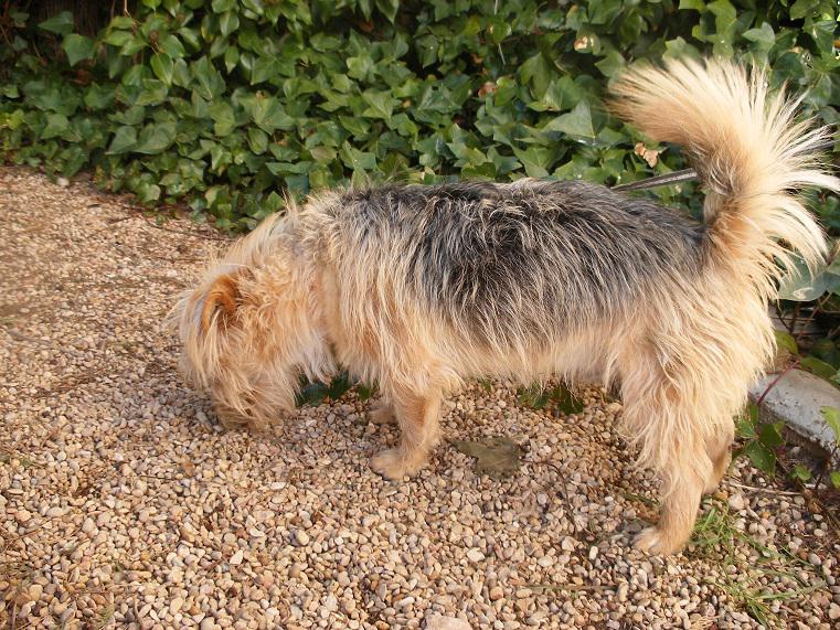 multimedia-foto42770-423-3