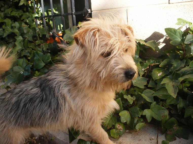 multimedia-foto42771-423-3