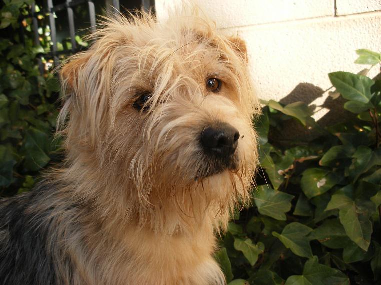 multimedia-foto42772-424-3