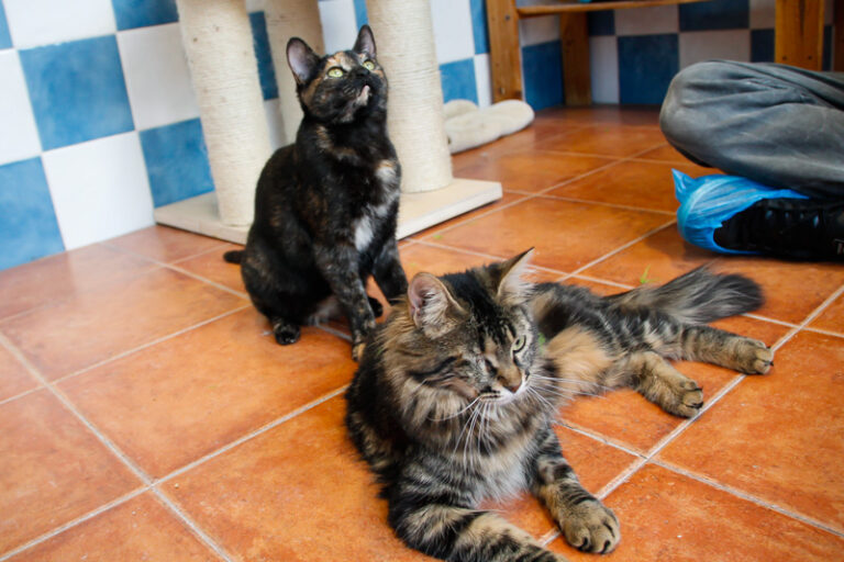 multimedia-foto42788-643-3