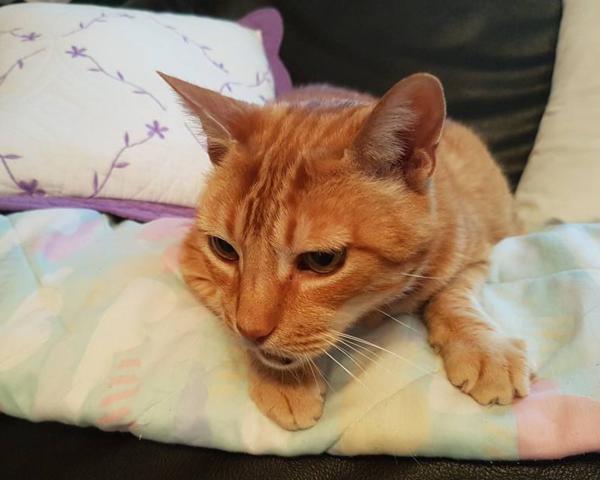 multimedia-foto42803-444-3