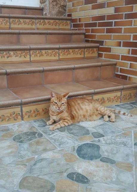 multimedia-foto42804-444-3