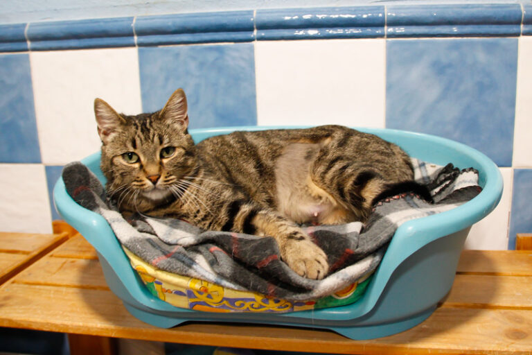 multimedia-foto42819-901-3