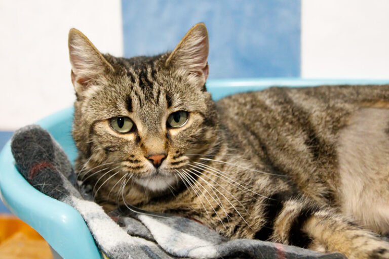 multimedia-foto42820-901-3