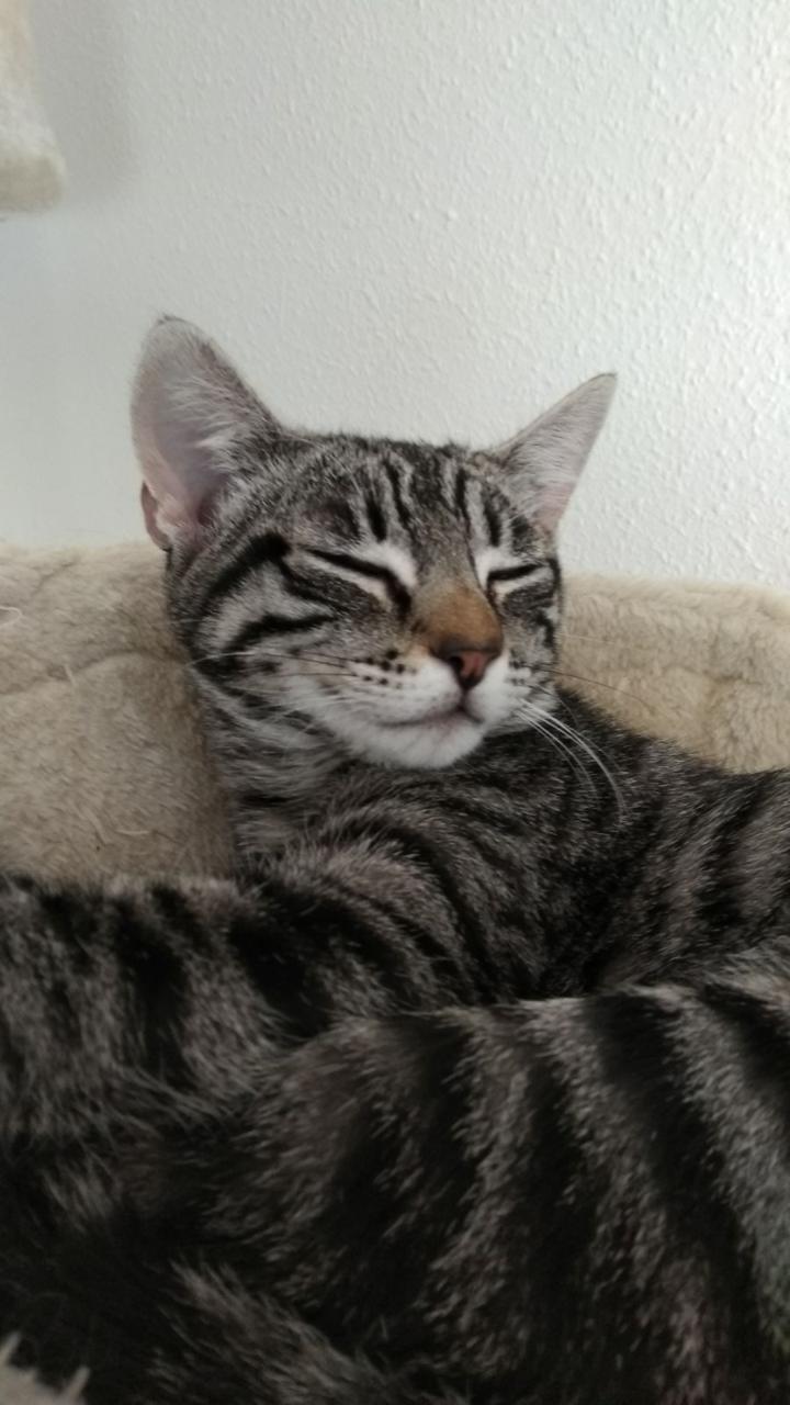 multimedia-foto42827-627-3