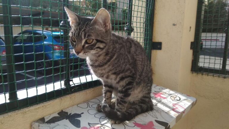 multimedia-foto42828-628-3