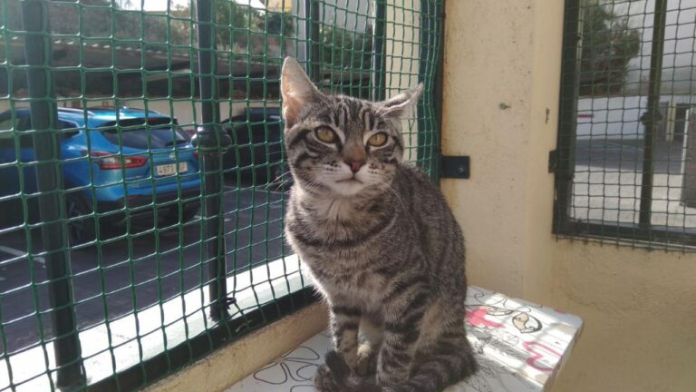 multimedia-foto42829-655-3