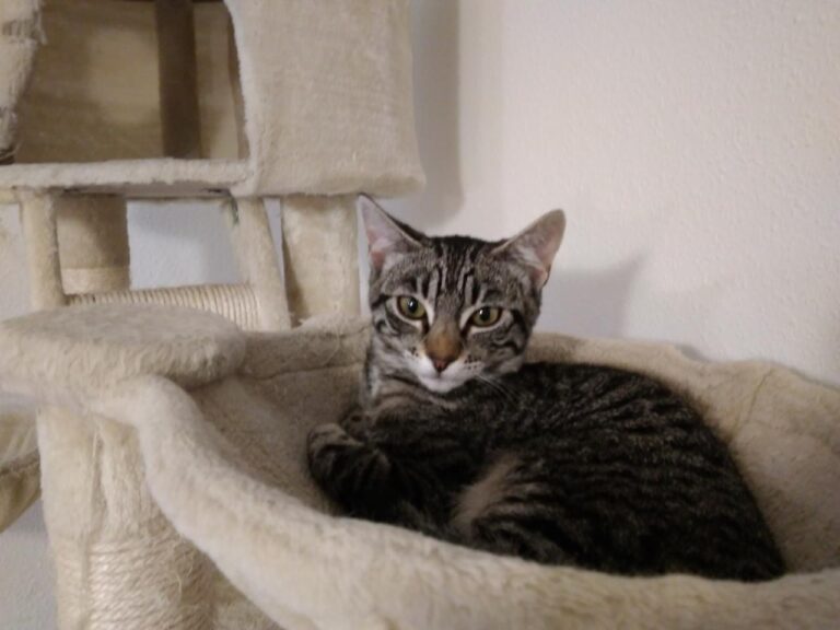 multimedia-foto42831-656-3