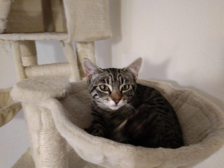 multimedia-foto42833-702-3