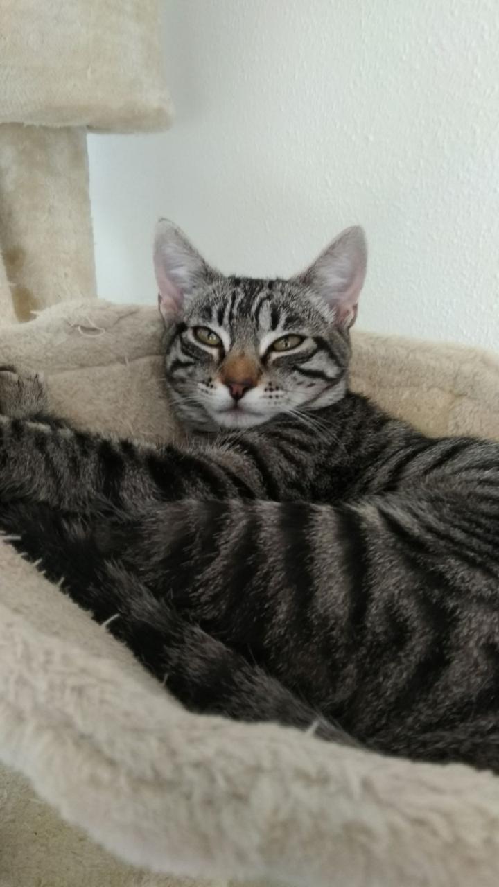 multimedia-foto42835-704-3