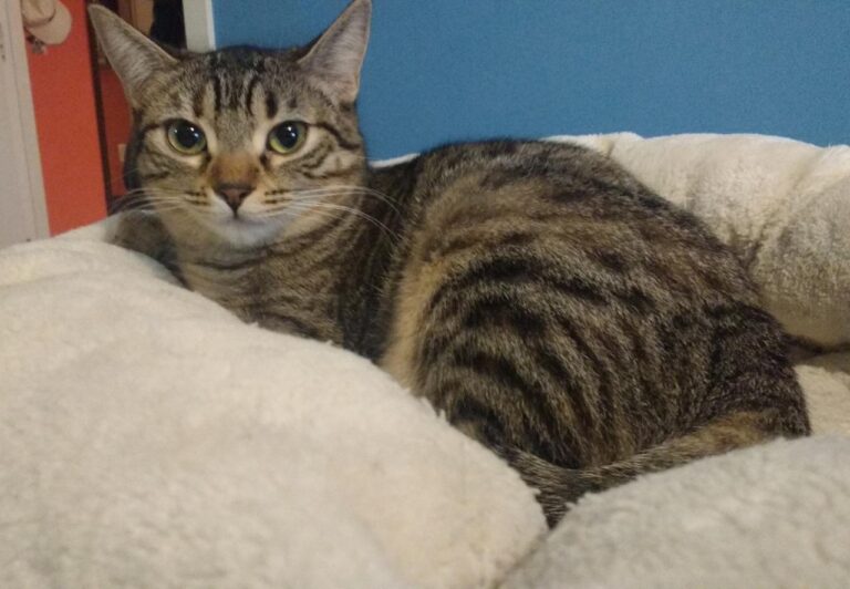 multimedia-foto42840-655-3