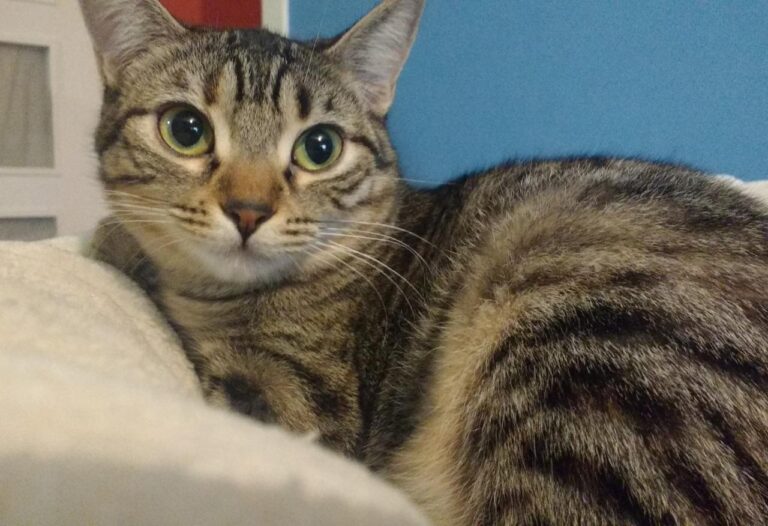 multimedia-foto42841-655-3