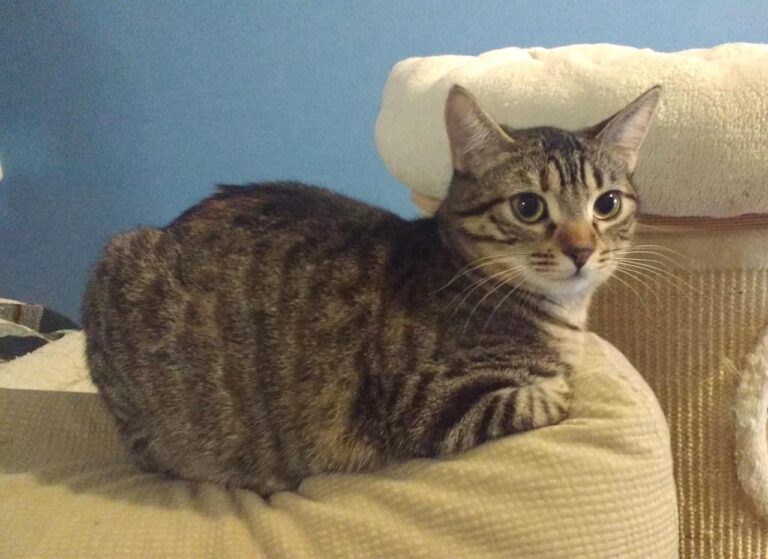 multimedia-foto42844-696-3