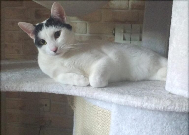 multimedia-foto42849-861-3