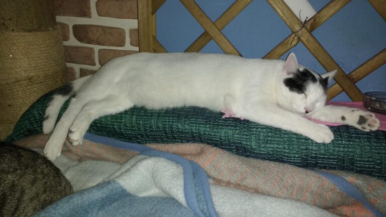 multimedia-foto42851-892-3