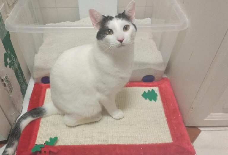 multimedia-foto42852-893-3