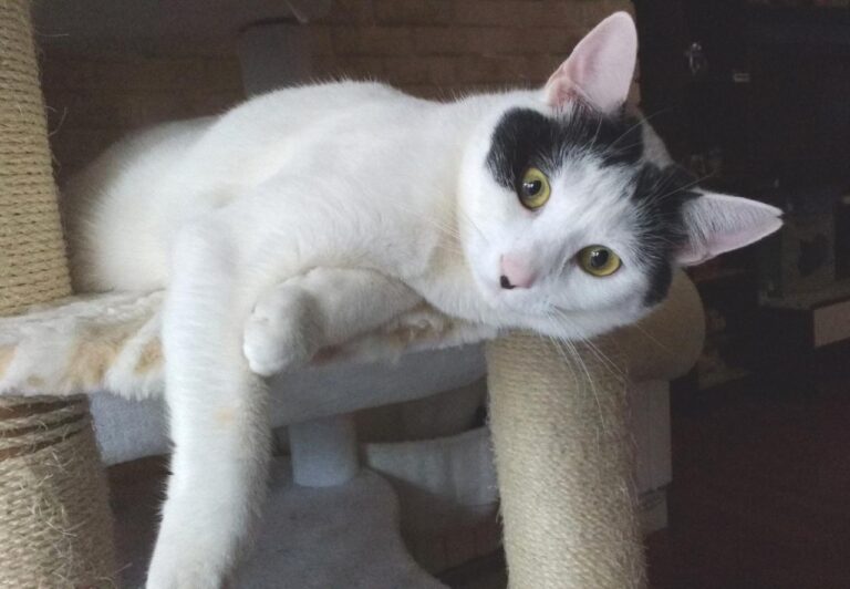 multimedia-foto42853-893-3