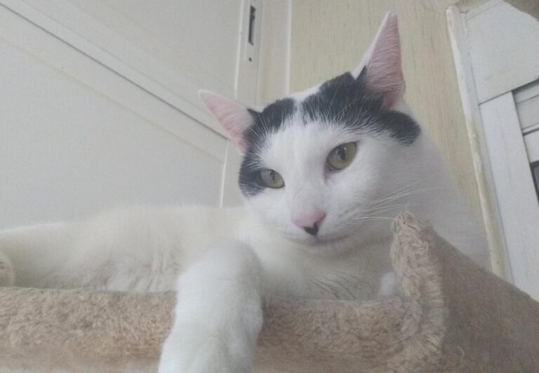 multimedia-foto42856-924-3