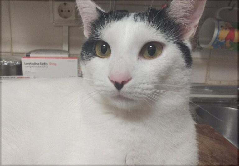 multimedia-foto42857-924-3