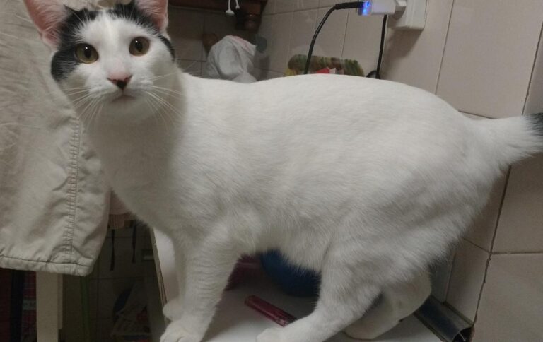 multimedia-foto42858-970-3