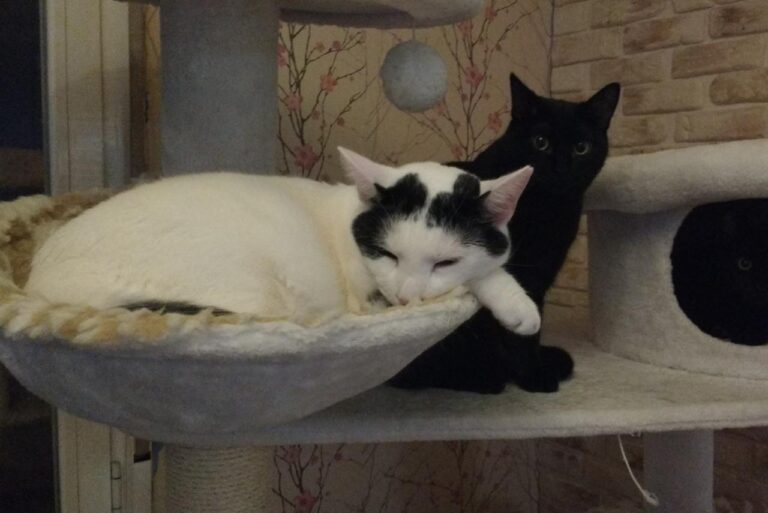 multimedia-foto42909-637-3