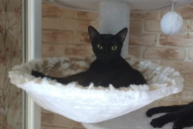 multimedia-foto42911-639-3