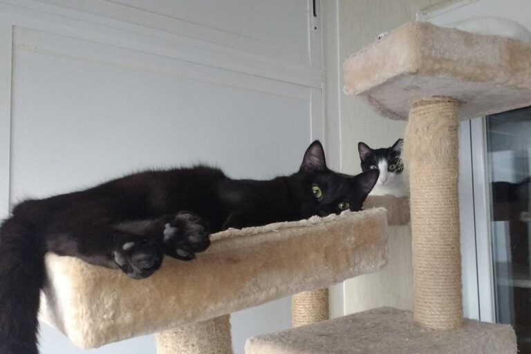 multimedia-foto42915-670-3