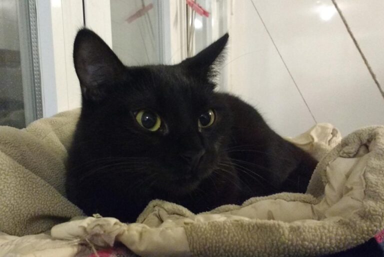 multimedia-foto42916-670-3