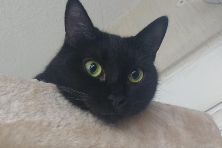 multimedia-foto42917-720-3