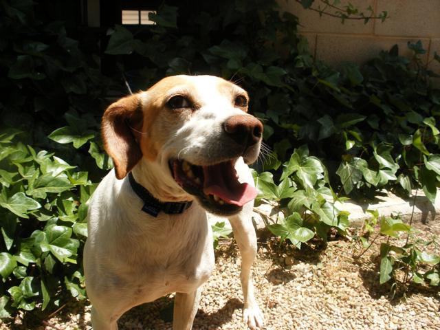 multimedia-foto42938-355-3