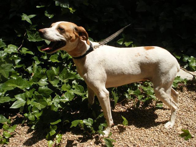 multimedia-foto42939-355-3