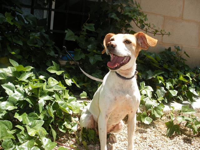 multimedia-foto42940-356-3