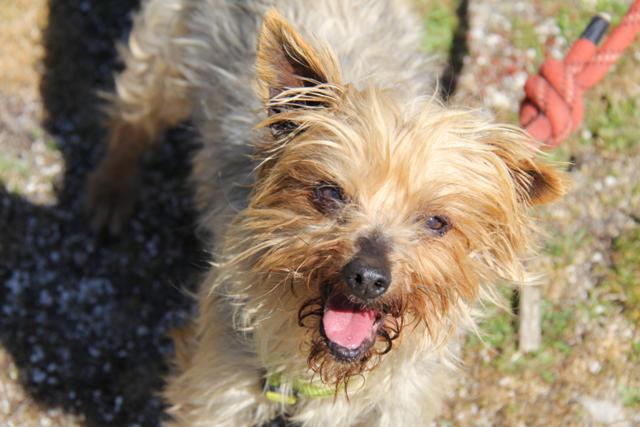 multimedia-foto42941-616-3