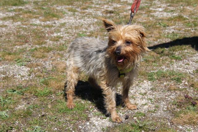 multimedia-foto42942-616-3