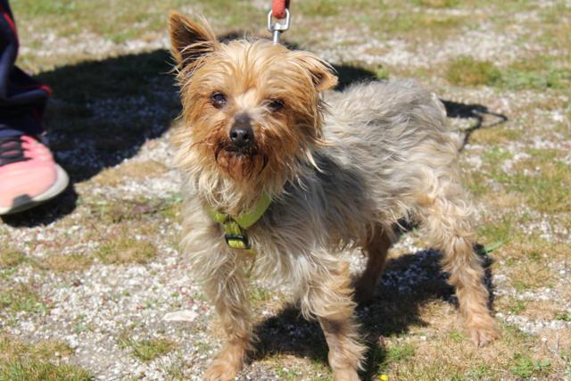 multimedia-foto42943-617-3